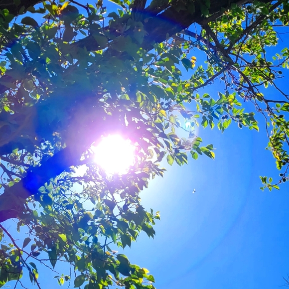 Meet your Posher, Teri - Picture 1 of 1